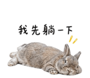 842146553