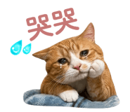 842146844