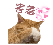 842146847