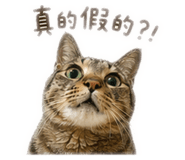 842146937