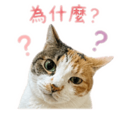 842146940