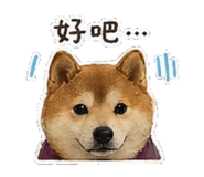 842147253