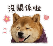 842147255