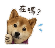 842147256