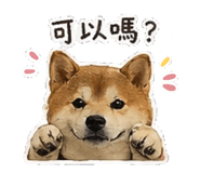 842147269