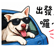 842147276