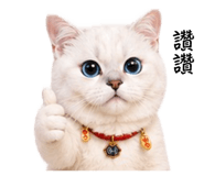 842147343