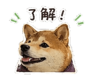 842147395