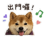 842147397