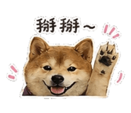 842147398