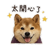 842147402
