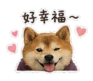 842147410
