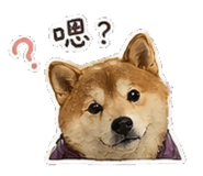 842147421