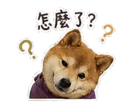 842147422