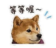842147426