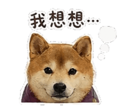 842147427