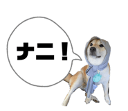 842147883