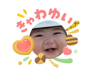 842147979