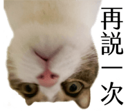842148036