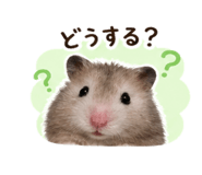 842148260