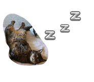 842148348