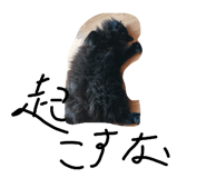 842148351