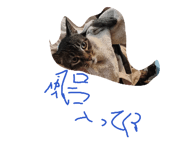 842148352