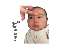 842148440