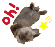 842148698