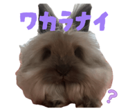 842148704