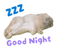842148708
