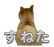 842148748