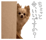 842148811