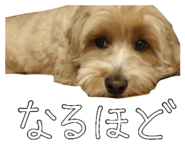842148812
