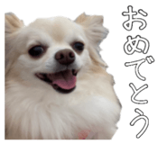 842148816