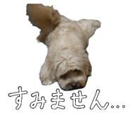 842148818