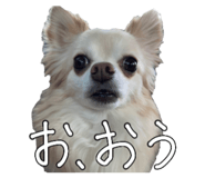 842148826