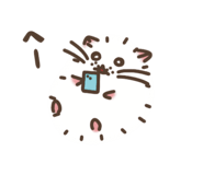 842148855