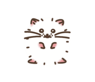 842148885