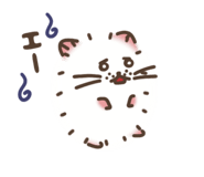 842148955
