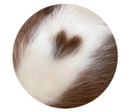 842149145