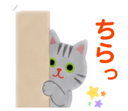 842149416
