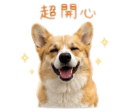 842150404