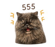 842150588