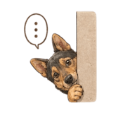 842151291