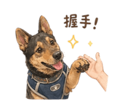 842151295