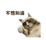 842151369