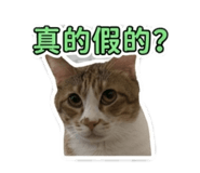 842151374