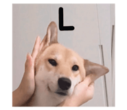 842151401