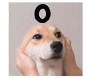 842151402